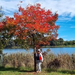 Meet your Posher, Ressie